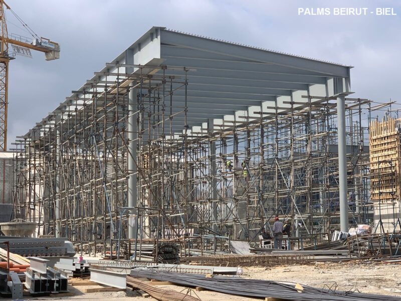 Industrial building construction with crane